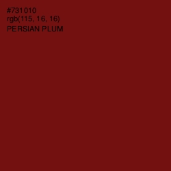 #731010 - Persian Plum Color Image